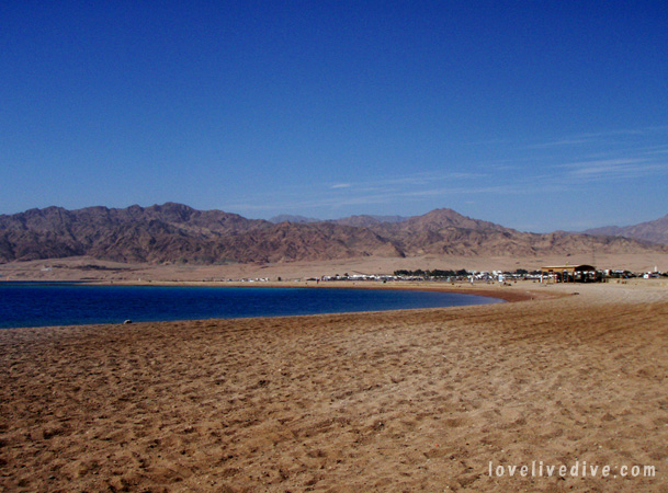 colour of the red sea