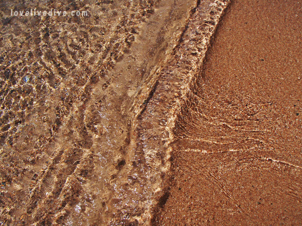 colour of the red sea